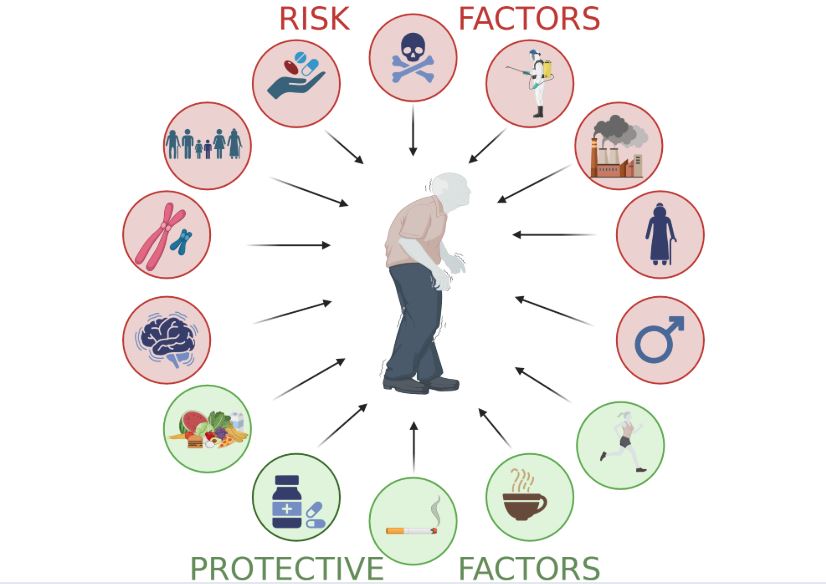 Causes and Risk Factors of Parkinson's Disease