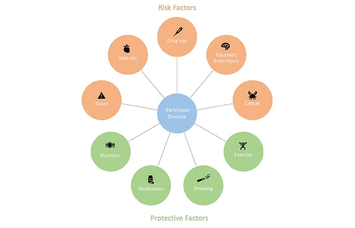 Environmental Factors Affecting Parkinson's Risk
